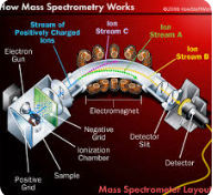 Diagram of Mass Spectrometer